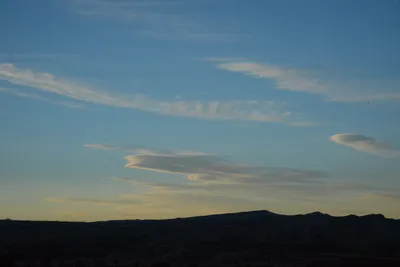 DSC_0310 (Large).JPG